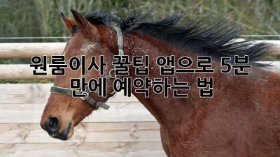 원룸이사 꿀팁🍯 앱으로 5분 만에 예약하는 법!